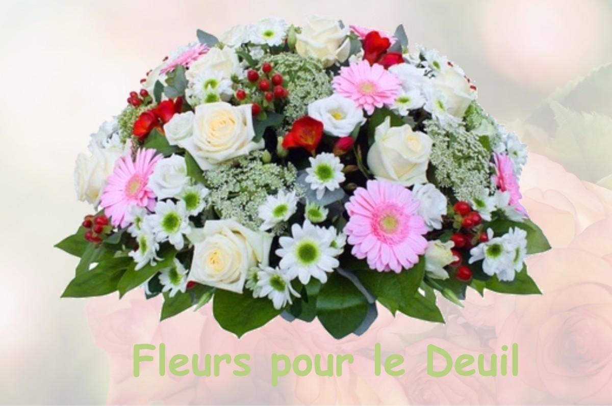 fleurs deuil SAINT-MICHEL-DE-MONTJOIE